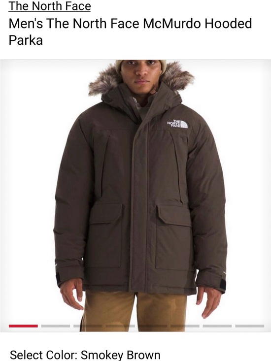 The North Face Other - The North Face Smokey Brown McMurdo Hooded Parka